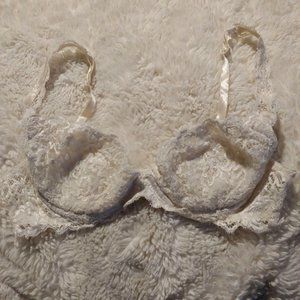 Exilia Ivory Lightly Padded Lace Made in Italy 36A